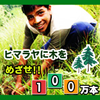 ヒマラヤに木を