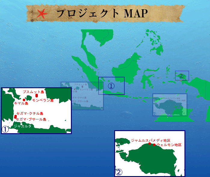 海ガメ保護プロジェクトMAP